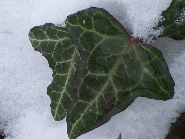 Olga Oconnell фото №38