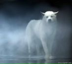 Фотография Борис Надежды