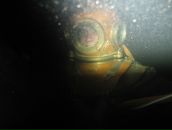 Фотография Стадницкая Татьяна