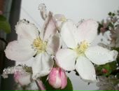 Сергій Гурінчук фотография #7 (источник - https://vk.com/id12433093)