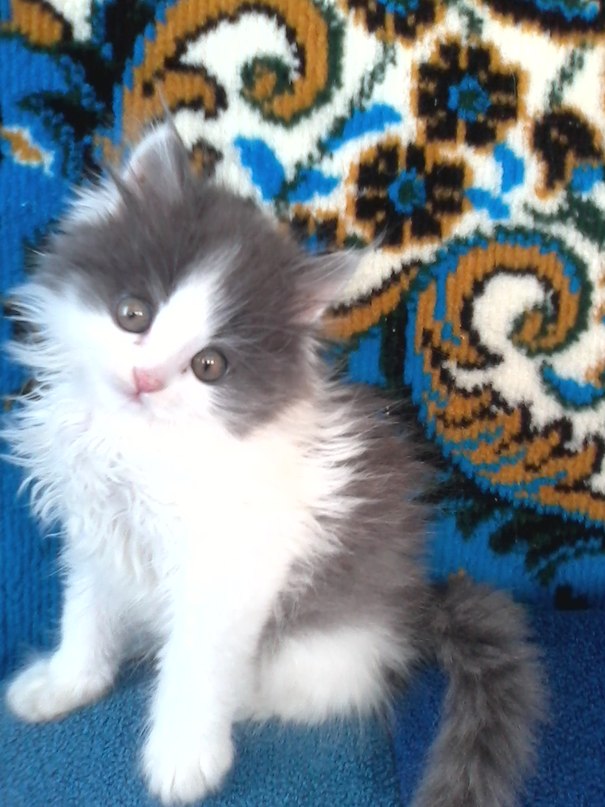 Халил Ишмухаметов фотография #2