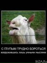 Андрій Кость фотография #33 (источник - https://vk.com/id101523145)
