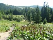 Міша Турчиняк фотография #25 (источник - https://vk.com/id77989662)