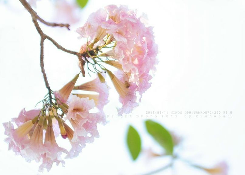 Наталья Макеева фотография #32