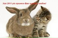 Марія Ділай фотография #3 (источник - https://vk.com/id41176824)