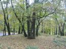 Олексій Федорчук фотография #10 (источник - https://vk.com/id343706043)