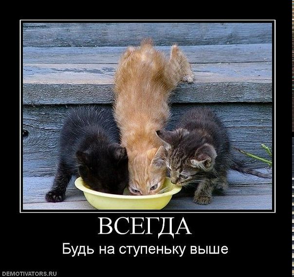 Иван Друковский фото №15