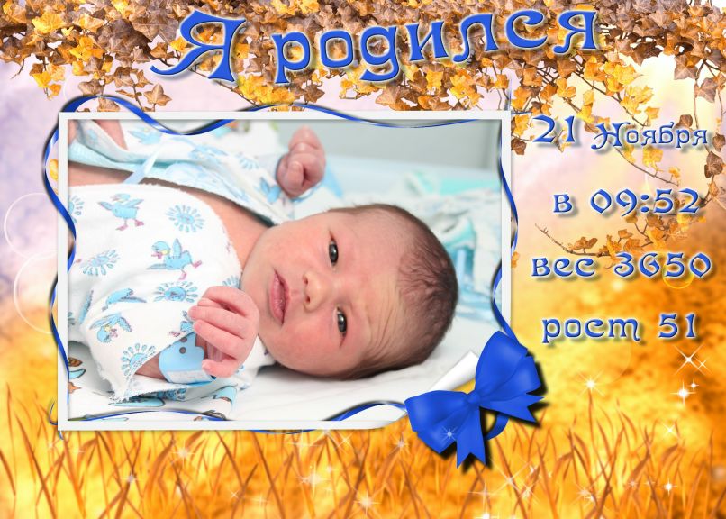 Дмитрий Васильев фотография #37