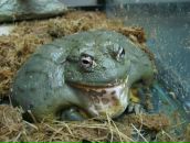 Фотография Третьяковой Марии