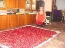 Фотография Ступницкой Татьяны