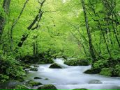 Фотография Гудковой Настасьи