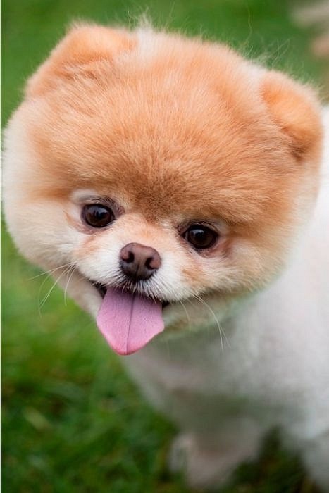 Митяй Чикин фотография #48