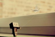 Христя Стахів фотография #23 (источник - https://vk.com/id5790240)