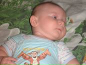 Фотография Власюк Ольги