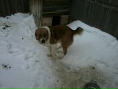 Фотография Савиной Эли