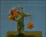 Фотография Приколоты Ксении