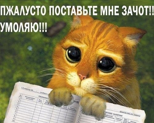 №18, Степан Осипов, 36 лет, Ярославль №18, Степан Осипов, 36 лет, Ярославль
