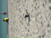 Andrey Iv фотография #44 (источник - https://vk.com/id228252)