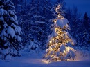 Свєтка Терентяк фотография #19 (источник - https://vk.com/id132167072)