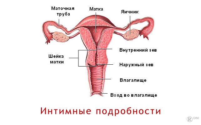 Дмитрий Рогов фотография #44
