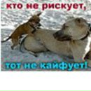 Руслан Кімар фотография #9 (источник - https://vk.com/id139567668)