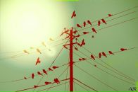 Фотография Ackroyd Tom