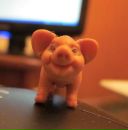 Фотография Алексаняна Ары