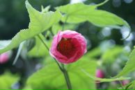 Ігор Забора фотография #43 (источник - https://vk.com/id4502120)