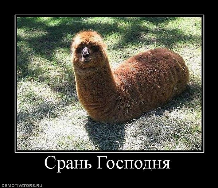 Антон Андреенко фотография #43