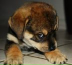 Анна Бундюк фотография #22 (источник - https://vk.com/id3442810)