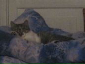 Фотография Грудиной Оли