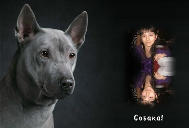 Софка Адамян фото №7