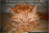 Фотография Лещенко Юлии