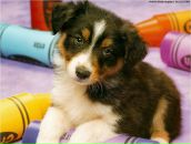 Фотография Майоровой Юли