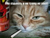 Віталік Ступінський фотография #27 (источник - https://vk.com/id51987355)