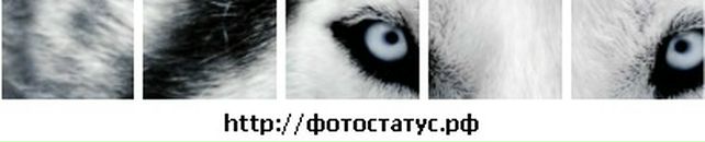 Діма Ілюшик фотография #15 (источник - https://vk.com/id98194043)