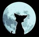 Фотография Красновой Татьяны