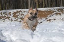 Ігор Мацієвський фотография #6 (источник - https://vk.com/id139181768)