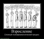 Анатолій Шаповал фотография #46 (источник - https://vk.com/id15036689)