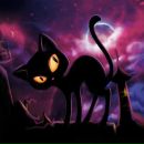 Фотография Кривова Андрея