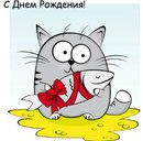 Юльчик Кіска фотография #10 (источник - https://vk.com/id170089934)