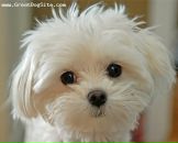 Фотография Буйденок Лизы