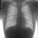 Антон Мартиненко фотография #42 (источник - https://vk.com/id225332)