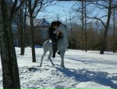 Иван Плотников фотография #11 (источник - https://vk.com/id80477798)