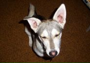 Фотография Леоновой Ольги