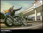 Фотография Бибикова Константина