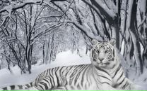 Вєталь Федик фотография #31 (источник - https://vk.com/id43598516)