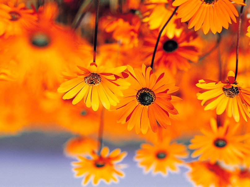 Богдан Ковтун фотография #21