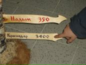 Сергей Марков фотография #42 (источник - https://vk.com/id75326046)