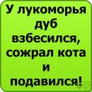 Віка Халус фотография #3 (источник - https://vk.com/id166768039)